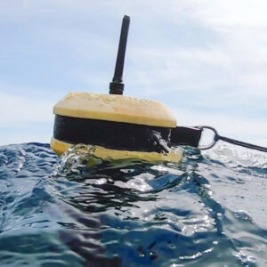 Compact and self-stable buoy