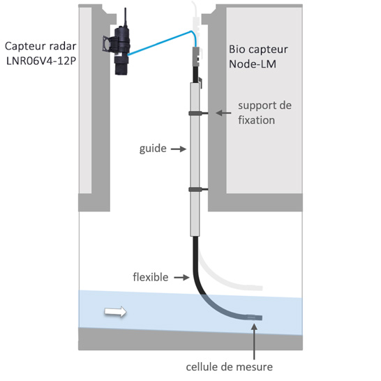 Schéma d'installation Bio-capteur Node LM et capteur de niveau d'eau LNR06V4 12P